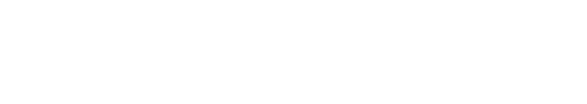 Next Epic Journey logo