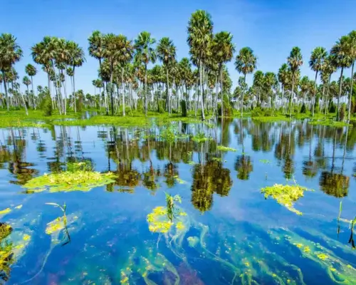 Bañado la Estrella, Formosa
